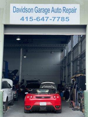 Hands down the best kept secret Auto repair shop!