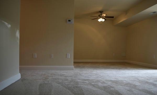 Living room and ceiling fan