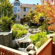 Courtyard with serene fountains