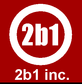 2B1 INC