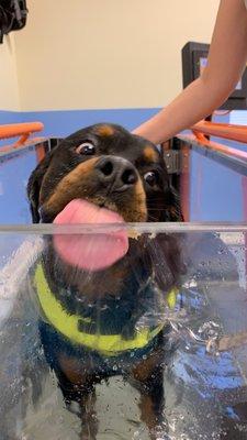 Diesel in the Underwater treadmill