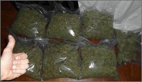 Weed for sale www.jackcannadispensary.com