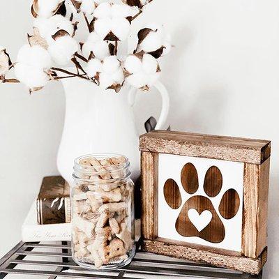 Pet Decor