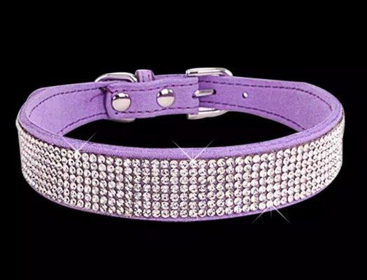 Rhinestone dog collar sized from extra small to extra large.