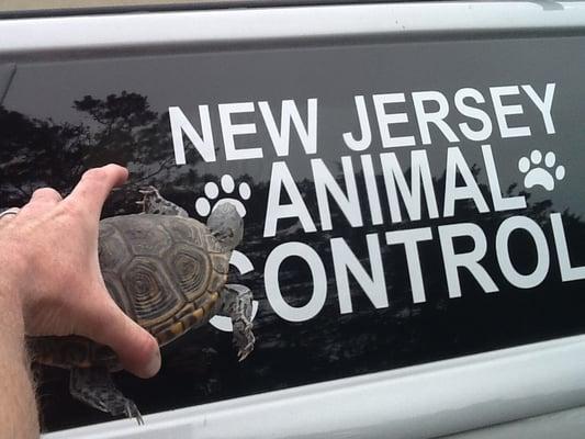 New Jersey Animal Control