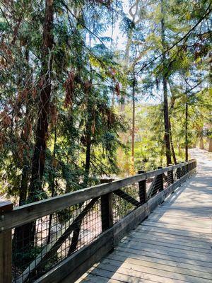 Bridge in Dracena Park