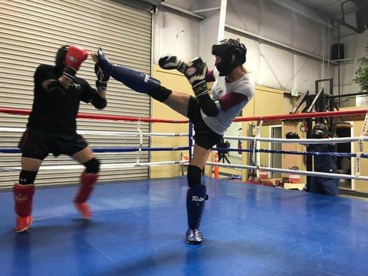 Full-Size Ring for Sparring