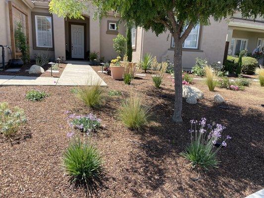 Beautiful drought tolerant front yard by Hortus.