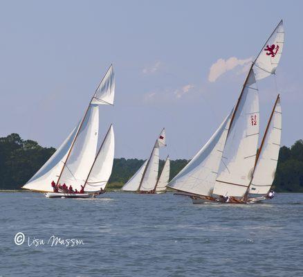 Log Canoes 3918 ©Lisa Masson