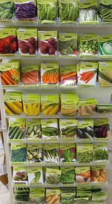 Vegetable seeds are available now!