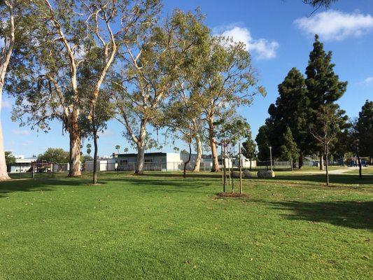 The school is next to the beautiful Paularino Park.