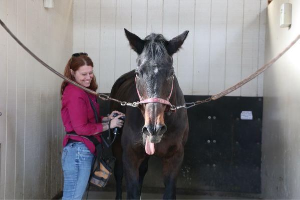 Percussive massage is helping Izzy release those muscles