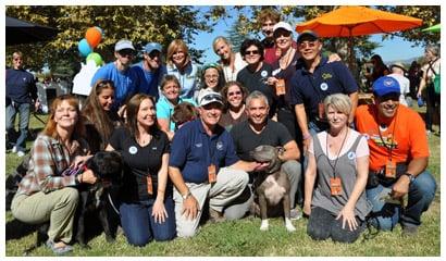 Take The Lead Canine Training