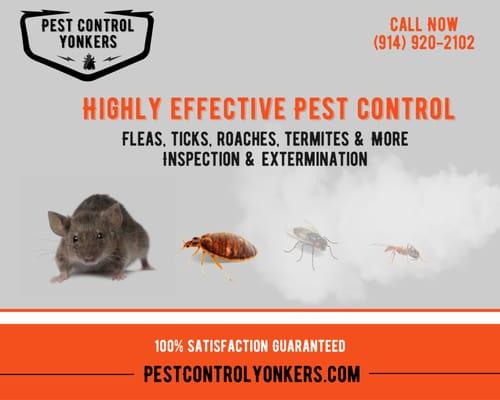 Pest Control