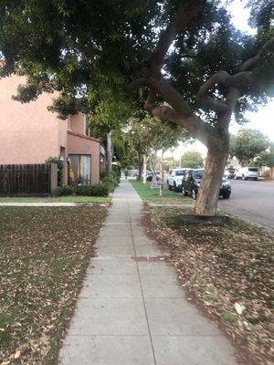 Plenty of street parking in front of the office