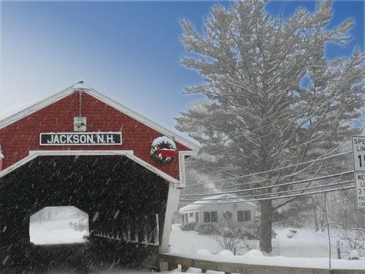 Come on through the Historic Covered Bridge and see the magic Jackson has to offer!