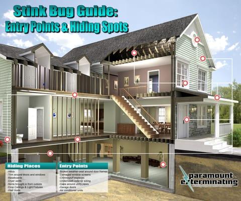 Stink Bug Entry Point Guide