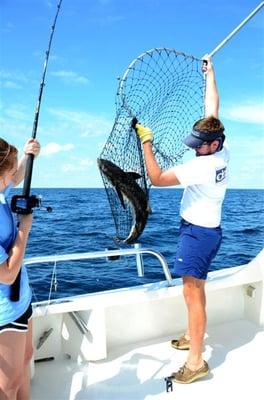 Netting a big Cobia or Ling fish.