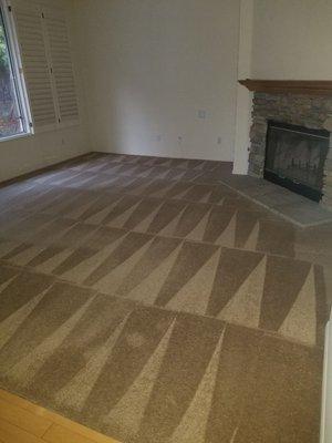 Another Great job by Ed N Edd Carpet Cleaning