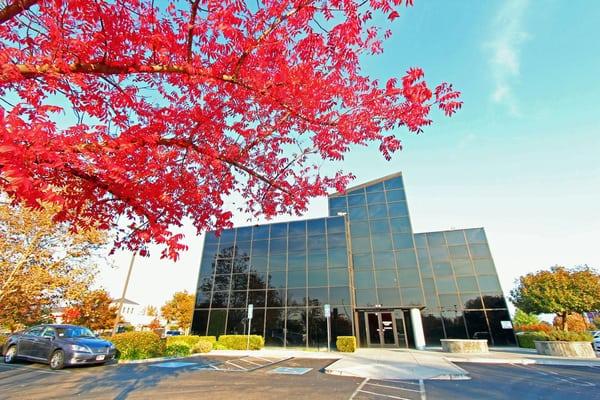 I love the beautiful red leaves against the exterior black glass building!  It's always easy to find us when you need us.