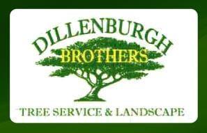 Dillenburgh Brothers Tree Service and Landscaping logo