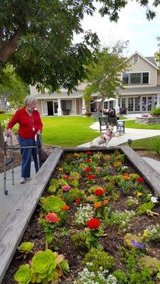 Aegis of Dana Point. Residents' flower garden.