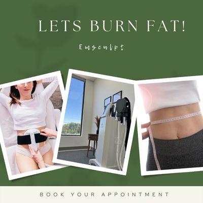 EmSculpt Will help you burn fat!