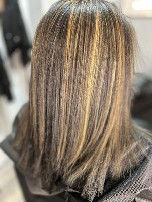 Highlight color and One11 Silk Press