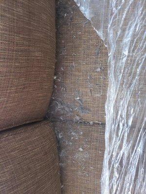 RAT HAIR on my loveseat