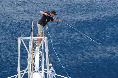 Harpoons for swordfish and tuna!