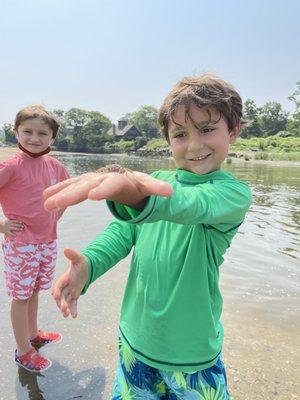 Discovering Marine Life at the Bay