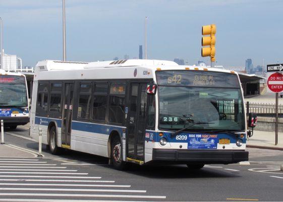 S42 Bus