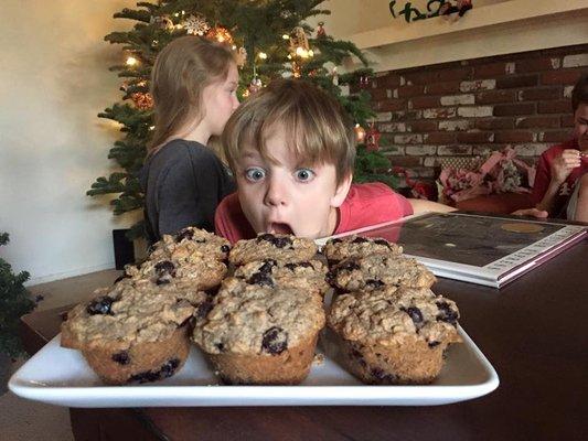 Blueberry Muffins - low sugar and gluten free and yes, they're that good.