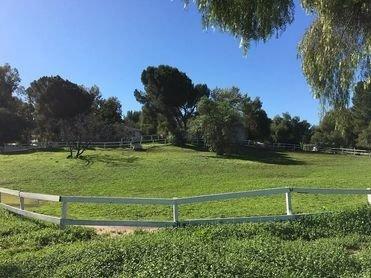 Gorgeous pastures Retirement Horse  Boarding Chino Hills, Ca