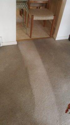 Dramatic Difference Of just "1" swipe of our carpet cleaning  services!