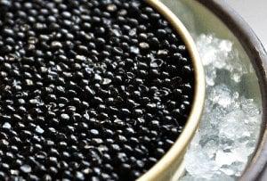 Fresh Caviar from Caviar Express, Inc.