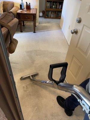 Spot Carpet and Upholstery Cleaning