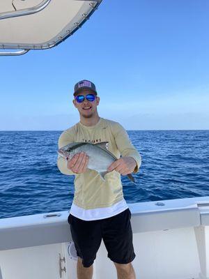 Amberjack