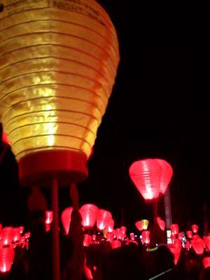 Light the night 2016.  At Avaya stadium san jose