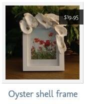 Oyster shell white frame