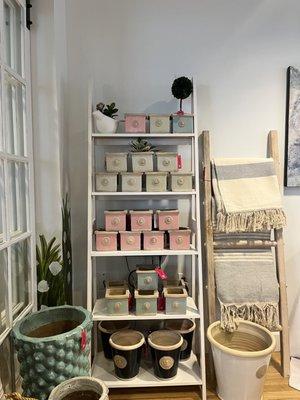 Shelf with square planters in pink, blue, and light green.