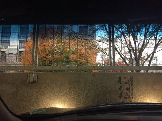 Bars on the parking deck....already feeling the love on my way to jury duty.