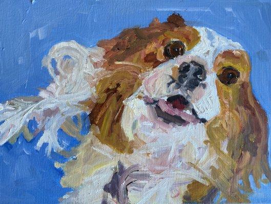 11"x14" custom dog portrait in oil paint with a plain colored background