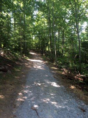 Wide, easy walking trail. This is the "blue loop."