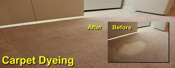 Creative Carpet Repair & Cleaning