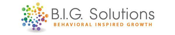 B.I.G. Solutions Logo