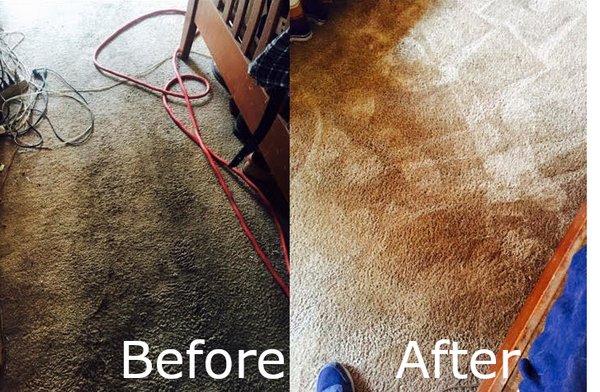 Has your carpet become a nightmare? If you are in need of an efficient carpet cleaning service, feel free to call Wilis Maint...