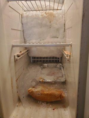 DEFROST ISSUE