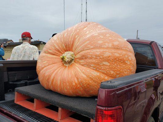 Pumpkin on truck