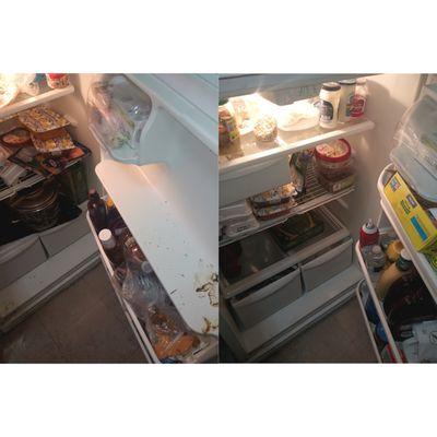 All food was taken out fridge clean...